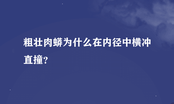 粗壮肉蟒为什么在内径中横冲直撞？