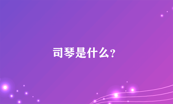 司琴是什么？