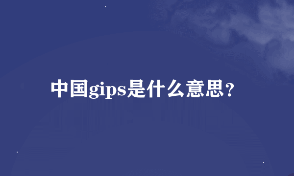 中国gips是什么意思？