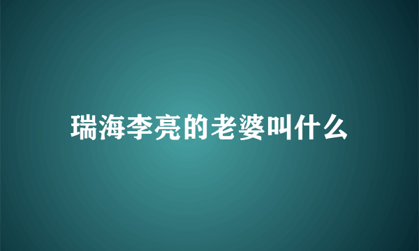 瑞海李亮的老婆叫什么