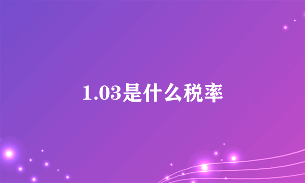 1.03是什么税率