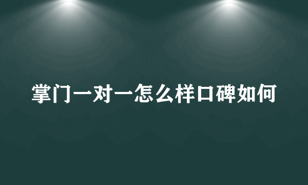 掌门一对一怎么样口碑如何