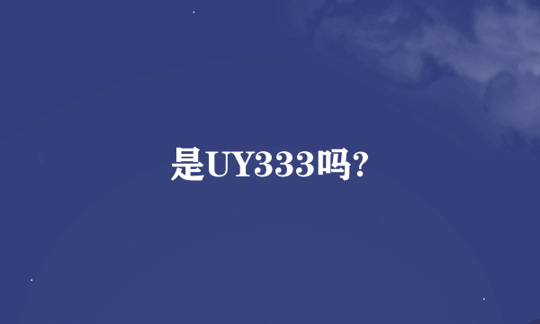 是UY333吗?