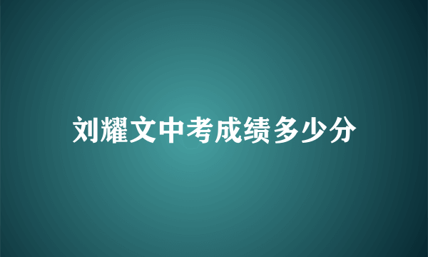 刘耀文中考成绩多少分