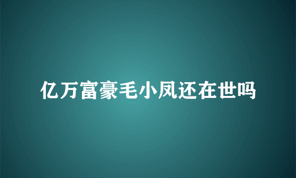 亿万富豪毛小凤还在世吗