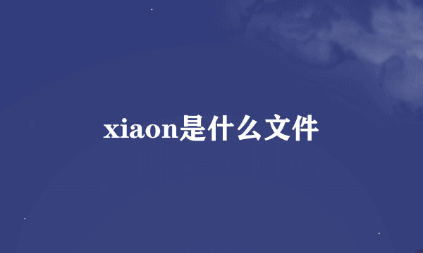 xiaon是什么文件