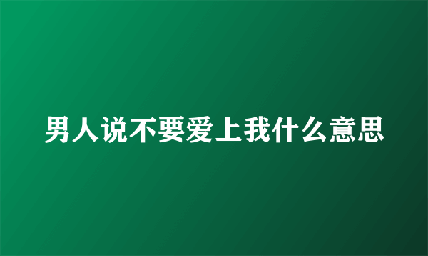 男人说不要爱上我什么意思