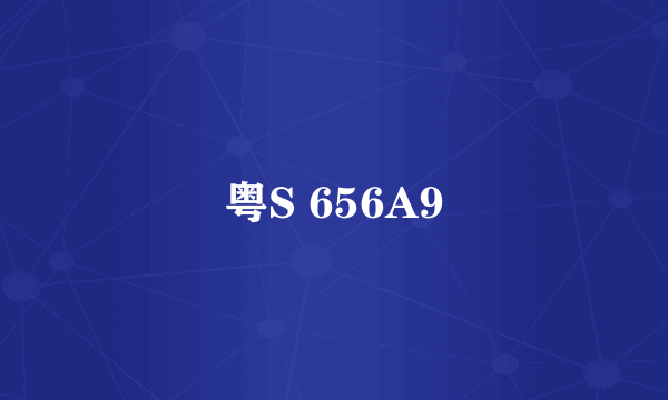 粤S 656A9