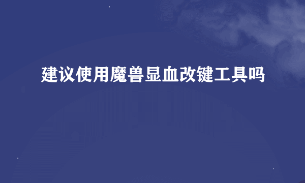 建议使用魔兽显血改键工具吗