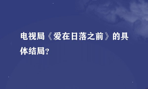 电视局《爱在日落之前》的具体结局？