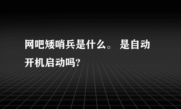 网吧矮哨兵是什么。 是自动开机启动吗?