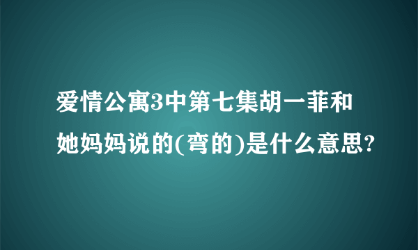 爱情公寓3中第七集胡一菲和她妈妈说的(弯的)是什么意思?