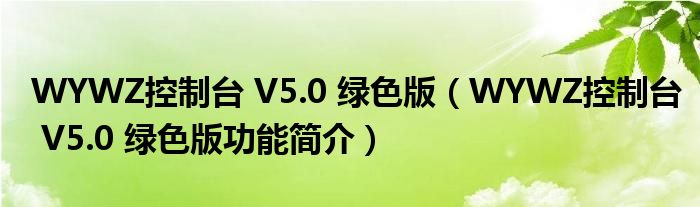 WYWZ控制台V50绿色版WYWZ控制台V50绿色版功能简介