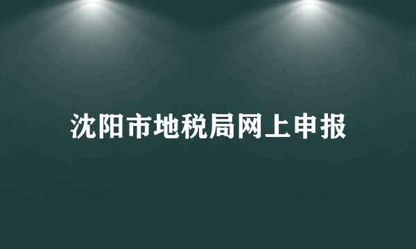 沈阳市地税局网上申报