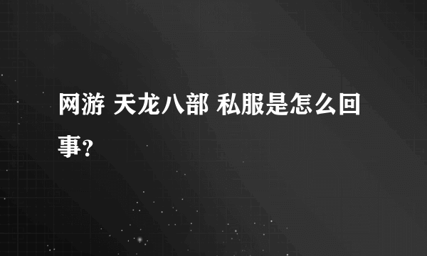 网游 天龙八部 私服是怎么回事？