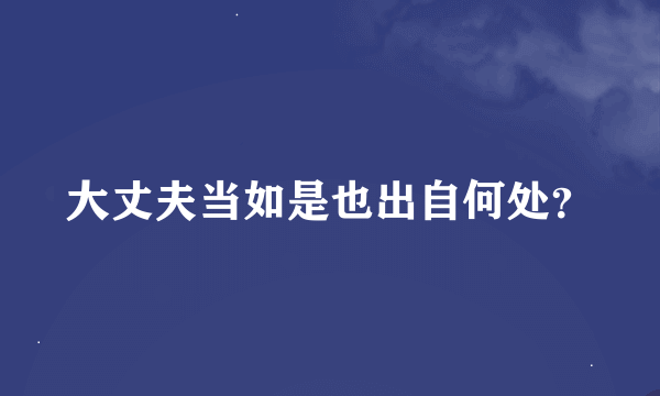 大丈夫当如是也出自何处？