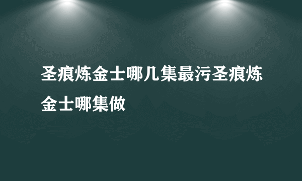 圣痕炼金士哪几集最污圣痕炼金士哪集做