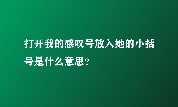 打开我的感叹号放入她的小括号是什么意思？