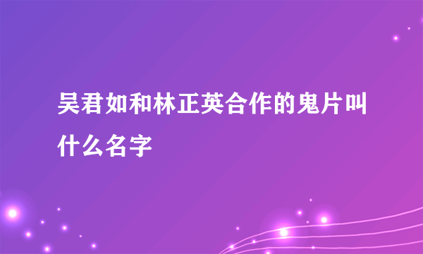 吴君如和林正英合作的鬼片叫什么名字