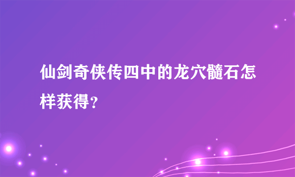 仙剑奇侠传四中的龙穴髓石怎样获得？