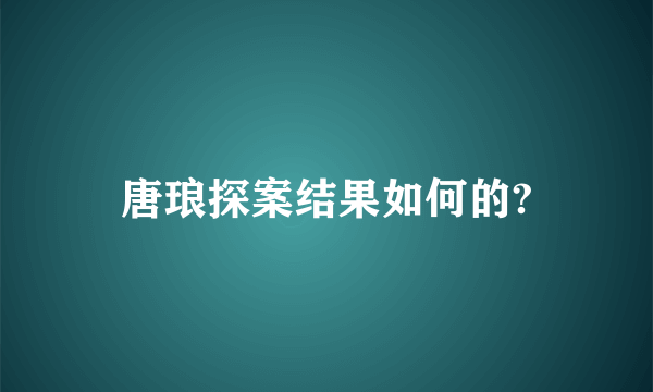 唐琅探案结果如何的?