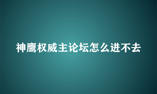 神鹰权威主论坛怎么进不去