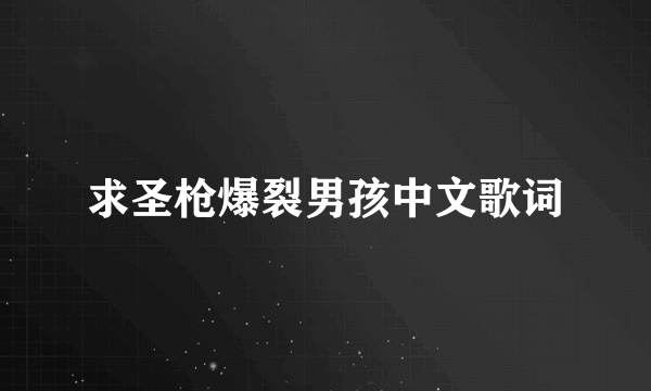 求圣枪爆裂男孩中文歌词