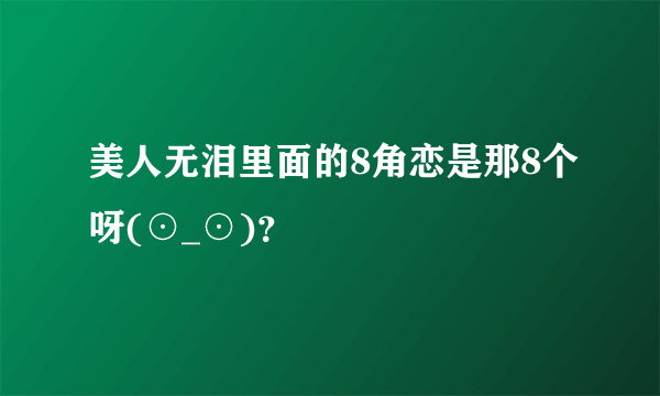 美人无泪里面的8角恋是那8个呀(⊙_⊙)？