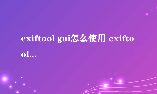 exiftool gui怎么使用 exiftool gui查看照片并修改EXIF信息教程