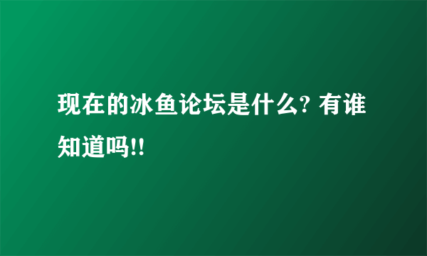 现在的冰鱼论坛是什么? 有谁知道吗!!