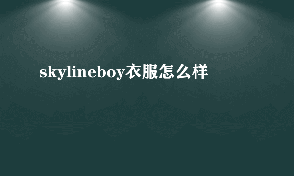 skylineboy衣服怎么样