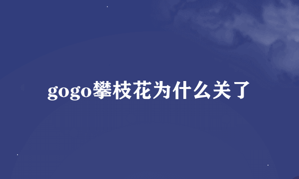 gogo攀枝花为什么关了