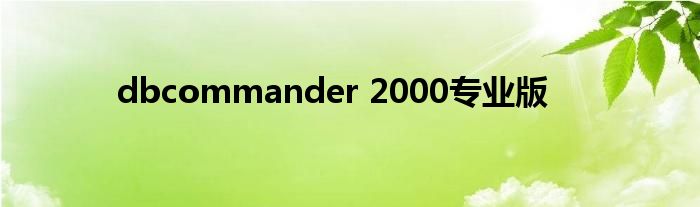 dbcommander2000专业版