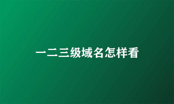 一二三级域名怎样看