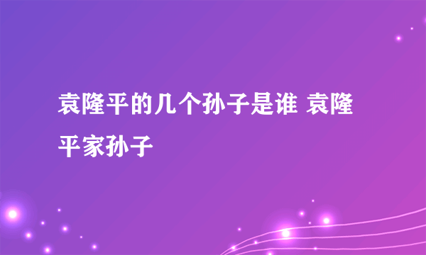 袁隆平的几个孙子是谁 袁隆平家孙子