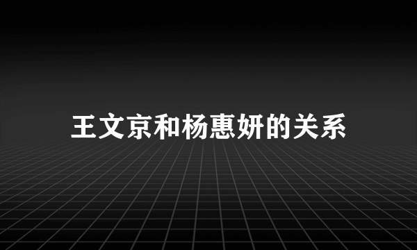 王文京和杨惠妍的关系