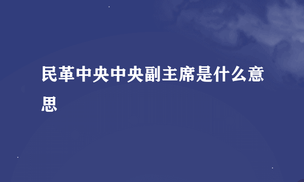 民革中央中央副主席是什么意思