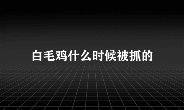 白毛鸡什么时候被抓的