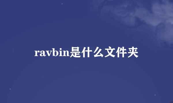 ravbin是什么文件夹