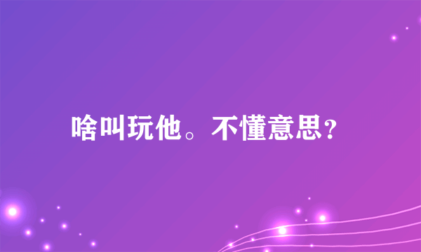 啥叫玩他。不懂意思？