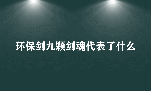 环保剑九颗剑魂代表了什么