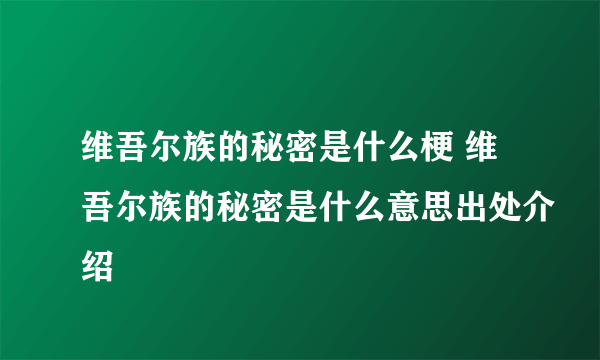 维吾尔族的秘密是什么梗 维吾尔族的秘密是什么意思出处介绍