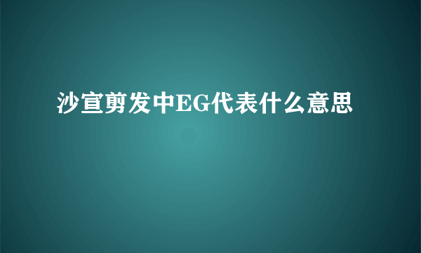 沙宣剪发中EG代表什么意思