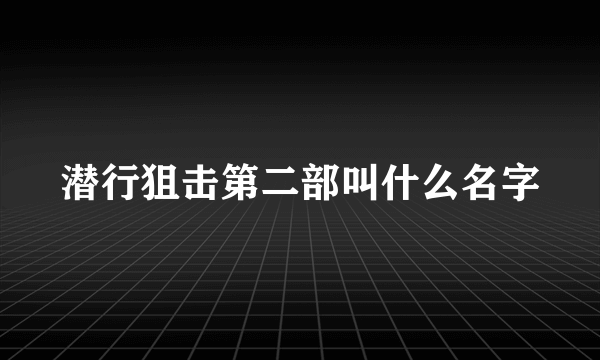 潜行狙击第二部叫什么名字