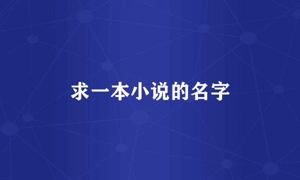 求一本小说的名字