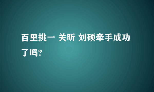 百里挑一 关昕 刘硕牵手成功了吗?