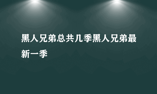 黑人兄弟总共几季黑人兄弟最新一季