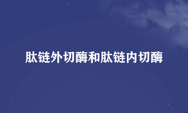 肽链外切酶和肽链内切酶