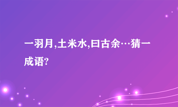 一羽月,土米水,曰古余…猜一成语?