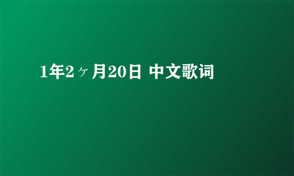 1年2ヶ月20日 中文歌词